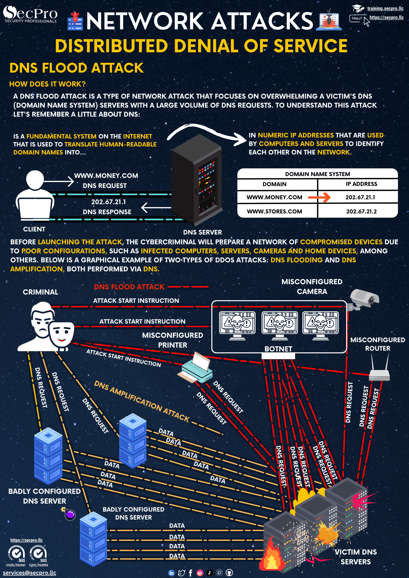 DNS Flood DDoS Attack