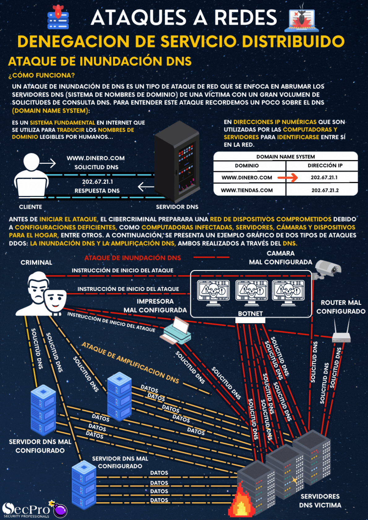 DDoS DNS Flood